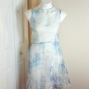 Keepsake Dress